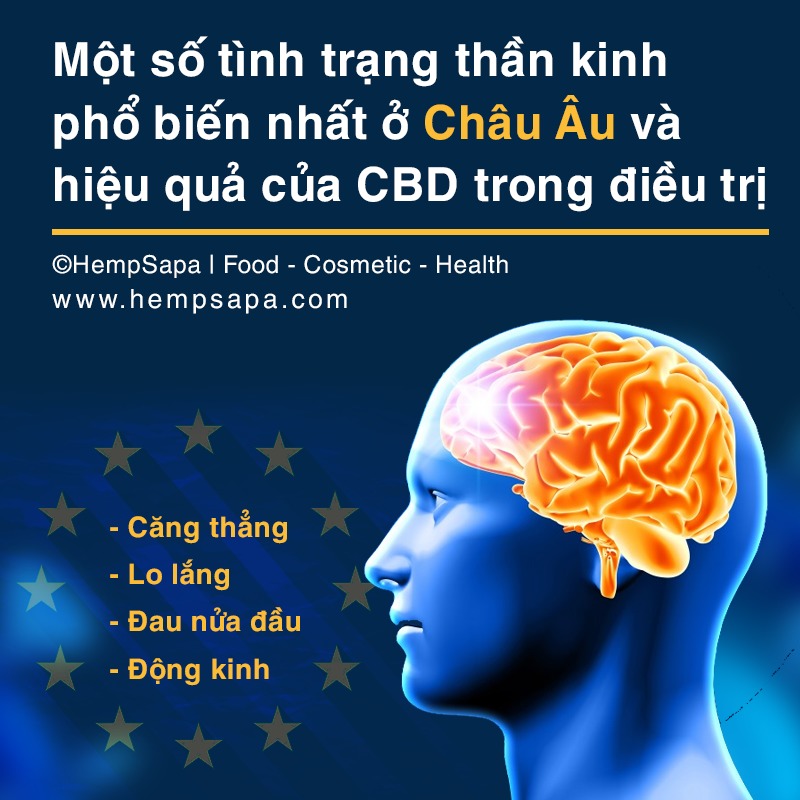Một số tình trạng thần kinh phổ biến ở Châu và hiệu quả của CBD trong điều trị