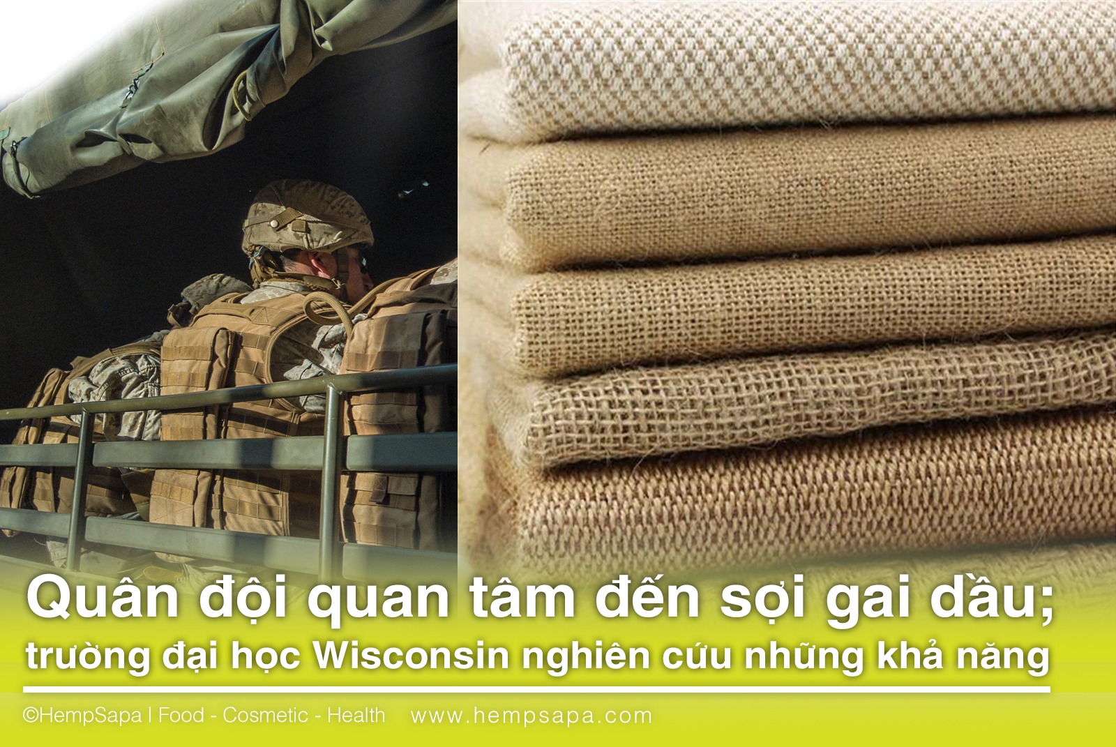 Quân đội quan tâm đến sợi gai dầu trường đại học Wisconsin nghiên cứu những khả năng