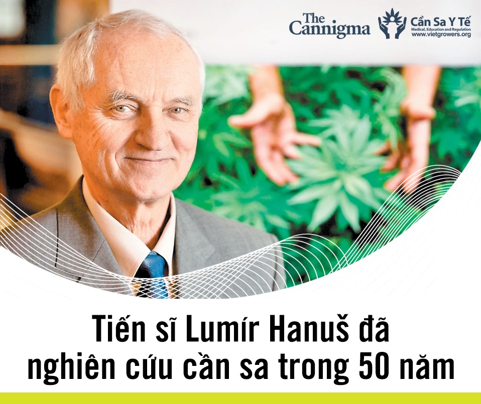 Tiến sĩ Lumír Hanuš đã nghiên cứu cần sa trong 50 năm 1