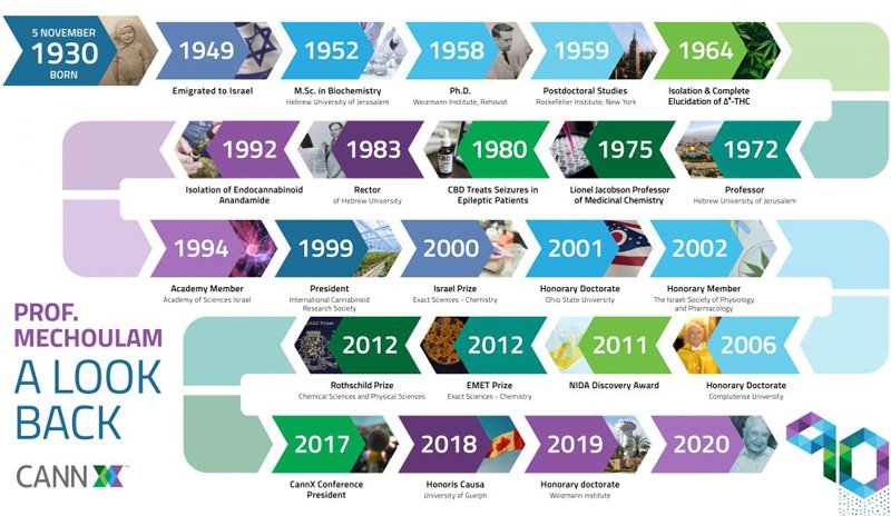Mechoulam Timeline Infographic 2 800