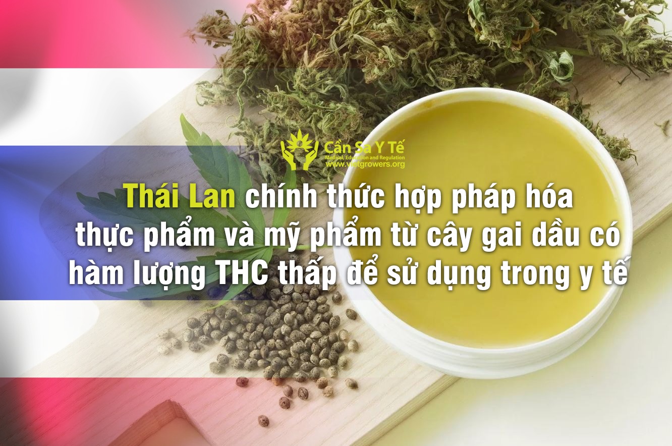 Thái Lan chính thức hợp pháp hóa thực phẩm và mỹ phẩm từ cây gai dầu có hàm lượng THC thấp để sử dụng trong y tế