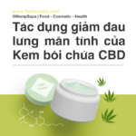 tac-dung-giam-dau-lung-man-tinh-cua-kem-boi-chua-cbd