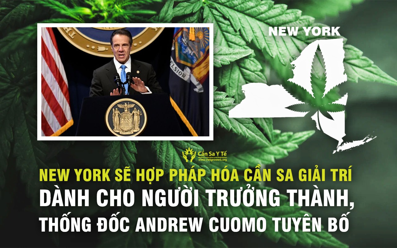 New York sẽ hợp pháp hóa cần sa giải trí dành cho người trưởng thành thống đốc Andrew Cuomo tuyên bố