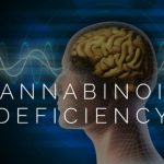what is cannabinoid deficiency1 599x428