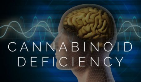 what is cannabinoid deficiency1 599x428