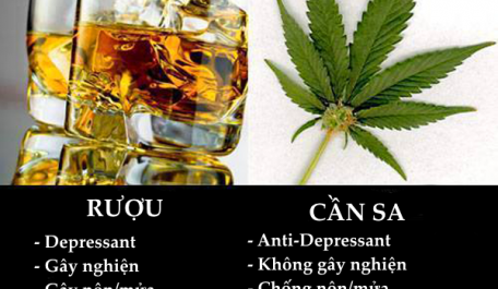 Alcohol vs Cannabis1