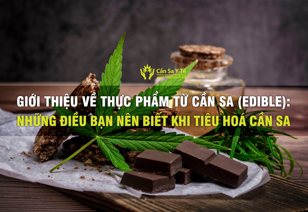 Edible là gì? Khám phá đầy đủ nghĩa, cách dùng và ví dụ thực tế