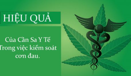 medical marijuana pain management 1