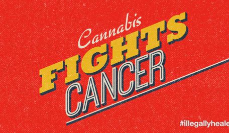 yes cannabis fights cancer
