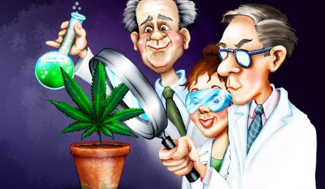 cannabis scientist cartoon