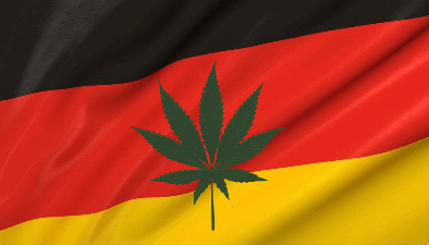 German Flag Pot Leaf Image 256