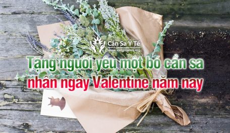 tang-nguoi-yeu-mot-bo-can-sa-nhan-ngay-valentine-nam-nay
