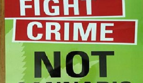 fight crime not cannabis 1