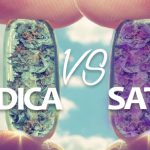 Indica vs Sativa Thumbnail 1