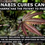 cannabis patent