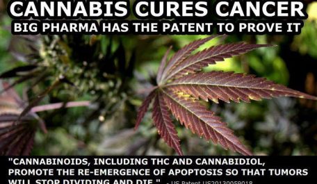 cannabis patent