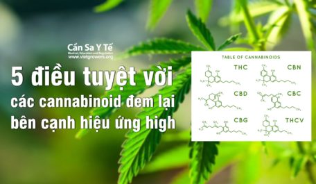 5-dieu-tuyet-voi-cac-cannabinoid-dem-lai-ben-canh-hieu-ung-high