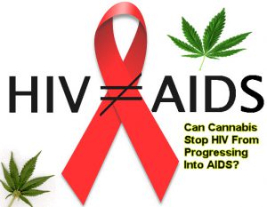 Liệu cần sa có thể ngăn HIV tiến triển thành AIDS?