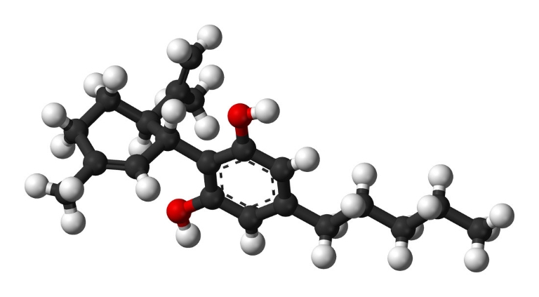 CBD có thể giúp chống lại nguy cơ về tâm thần do các giống cần sa chứa nhiều THC