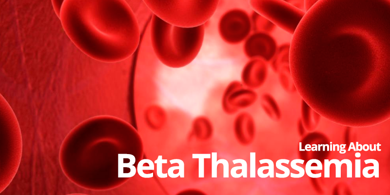 CBD và Cần Sa Y Tế giúp điều trị bệnh Tan máu bẩm sinh (Beta Thalassemia)