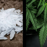 Tinh dầu CBD có tác dụng trong trong việc điều trị nghiện ma tuý đá