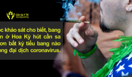 mot-cuoc-khao-sat-cho-biet-bang-Michigan-o-Hoa-Ky-hut-can-sa-nhieu-hon-bat-ky-tieu-bang-nao-khac-trong-dai-dich-coronavirus