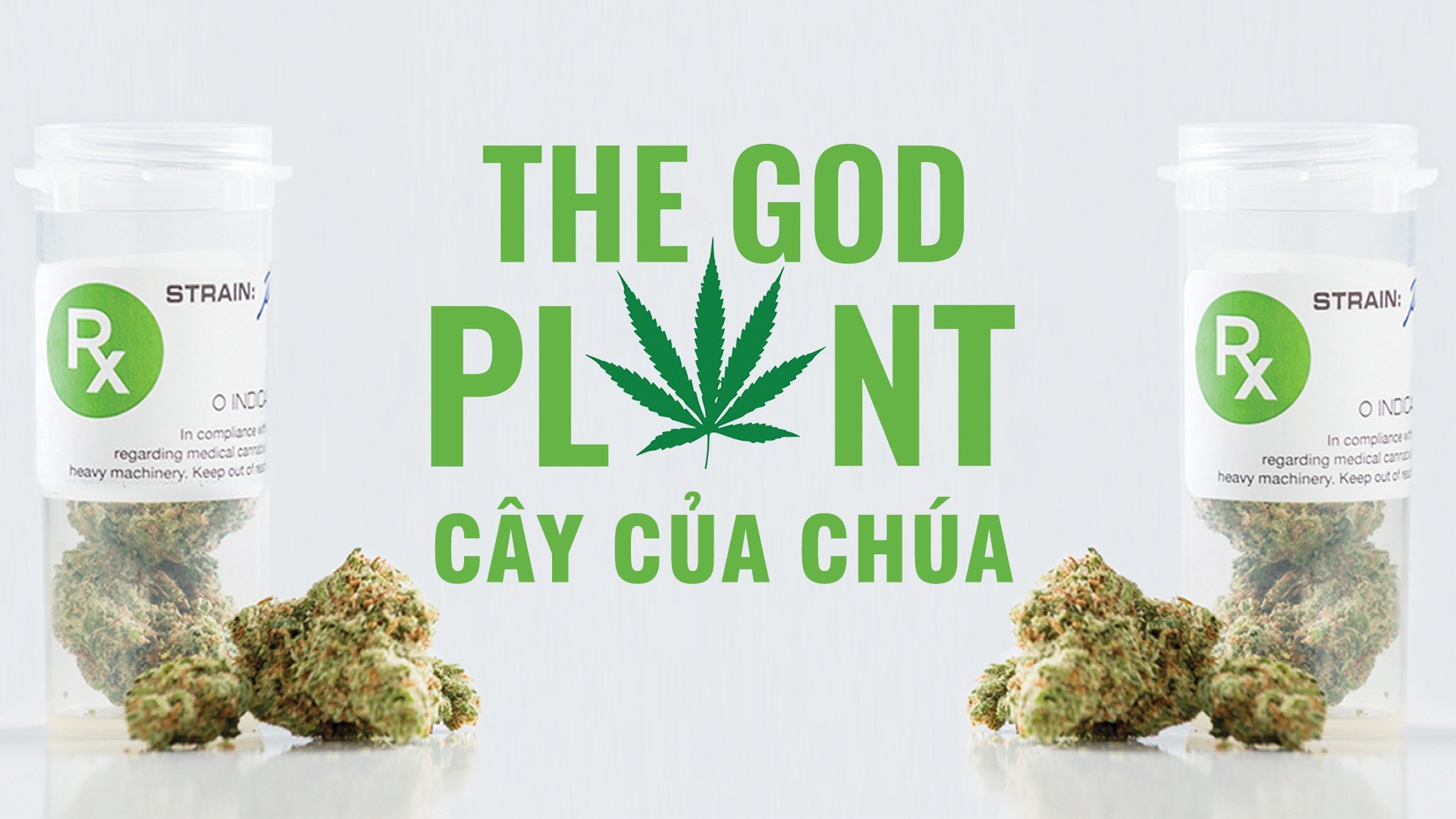 The God Plant