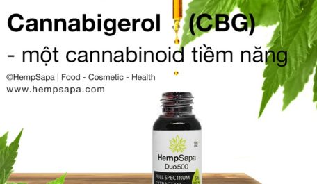 Cannabigerol (CBG) - một cannabinoid tiềm năng