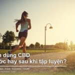 Nên dùng CBD trước hay sau khi tập luyện?