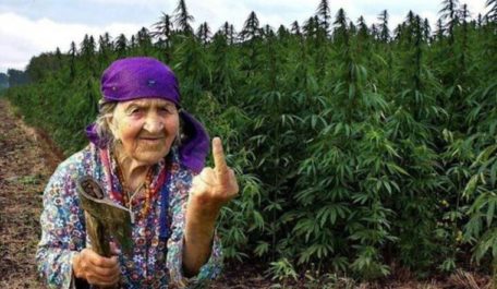 12 thành phố mà không stoner nào nên bỏ qua