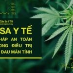 Cần sa y tế - Giải pháp an toàn hơn trong điều trị các cơn đau mãn tính