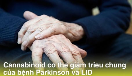 Cannabinoid có thể giảm triệu chứng của bệnh Parkinson và LID