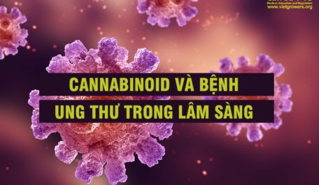 cannabinoid-va-benh-ung-thu-trong-lam-sang