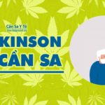 Parkinson và Cần sa y tế