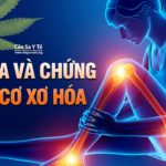 can-sa-va-chung-dau-co-xo-hoa