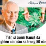 Tiến sĩ Lumír Hanuš đã nghiên cứu cần sa trong 50 năm