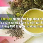 thai-lan-chinh-Thái Lan chính thức hợp pháp hóa thực phẩm và mỹ phẩm từ cây gai dầu có hàm lượng THC thấp để sử dụng trong y tếthuc-hop-phap-hoa-thuc-pham-va-my-pham-tu-cay-gai-dau-co-ham-luong-thc-thap-de-su-dung-trong-y-te