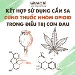 ket-hop-su-dung-can-sa-cung-thuoc-nhom-opioid-trong-dieu-tri-con-dau