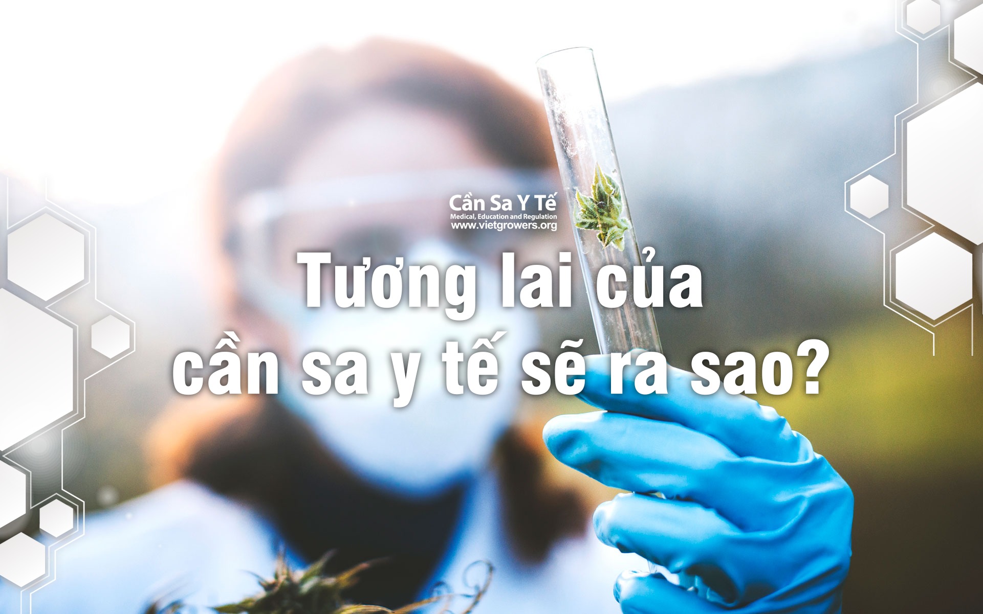 Tương lai của cần sa y tế sẽ ra sao?
