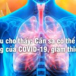 Nghiên cứu cho thấy: Cần sa có thể làm giảm biến chứng của COVID-19, giảm thiểu xơ hóa