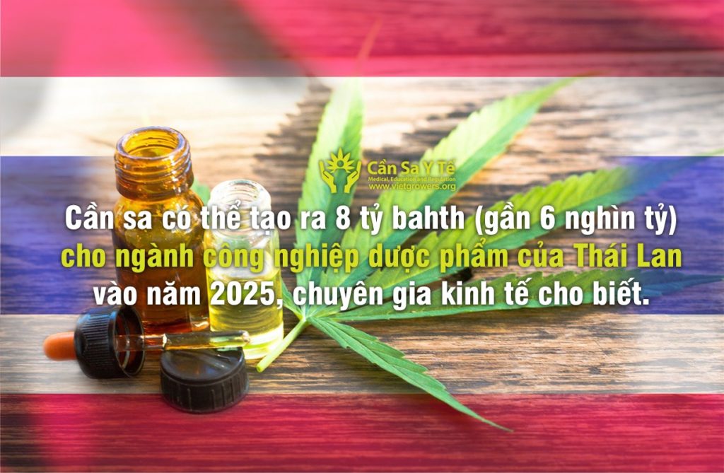 can-sa-co-the-tao-ra-8-trieu-bahth-cho-nganh-cong-nghiep-duoc-pham-cua-thai-lan-vao-nam-2025