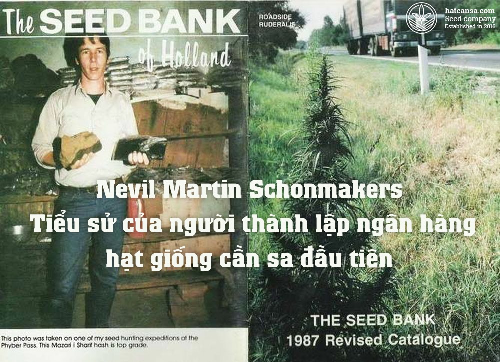 Nevil Martin Schonmakers – Tiểu sử của người thành lập ngân hàng hạt giống cần sa đầu tiên