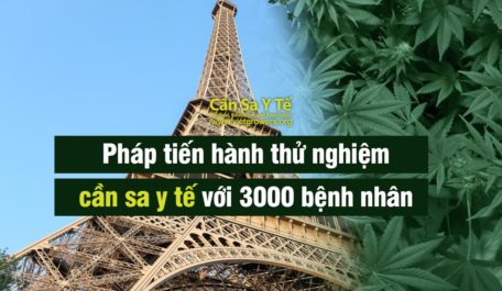 phap-tien-hanh-thu-nghiem-can-sa-y-te-voi-3000-benh-nhan