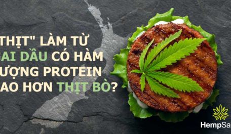 “Thịt” làm từ hạt gai dầu chứa nhiều protein hơn thịt bò