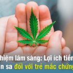 Thử nghiệm lâm sàng: Lợi ích tiềm năng của cần sa đối với trẻ mắc chứng tự kỷ