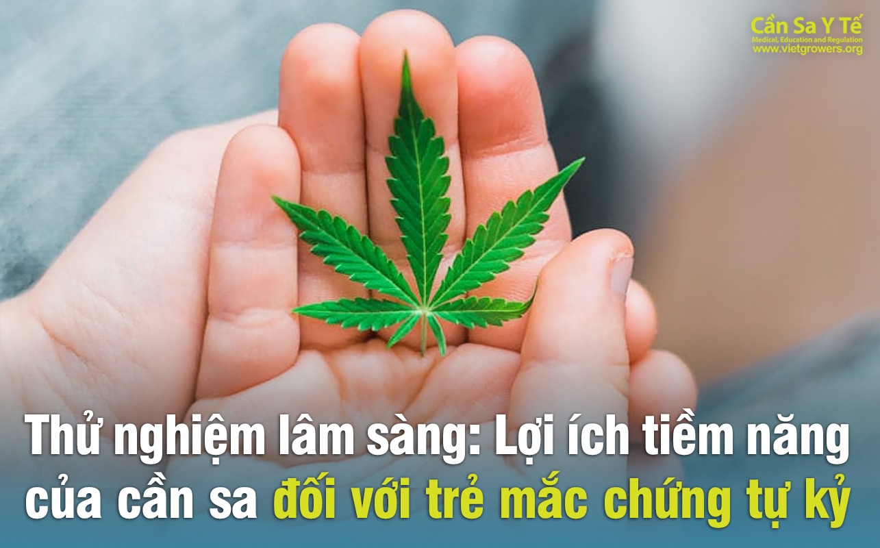 Thử nghiệm lâm sàng: Lợi ích tiềm năng của cần sa đối với trẻ mắc chứng tự kỷ