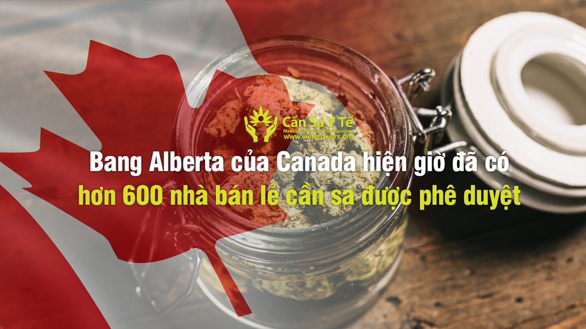 Bang Alberta của Canada hiện giờ đã có hơn 600 nhà bán lẻ cần sa được phê duyệt