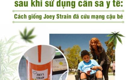 Cậu bé tự kỷ phát triển tốt sau khi sử dụng cần sa y tế: Cách giống Joey Strain đã cứu mạng cậu bé