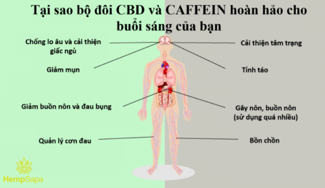 tai-sao-bo-doi-cbd-va-caffein-hoan-hao-cho-buoi-sang-cua-ban