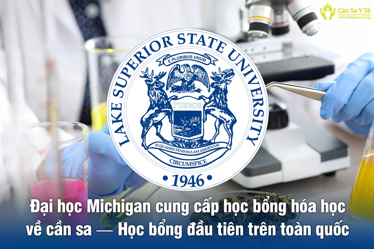 Đại học Michigan cung cấp học bổng hóa học về cần sa — Học bổng đầu tiên trên toàn quốc